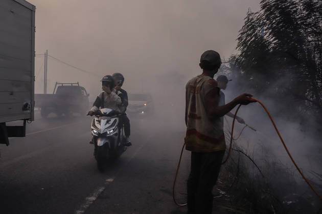 Forest and Peatland Fire in Ogan Ilir, South Sumatra A resident rides a motorcycle through the haze along the Palembang - Inderalaya Highway in South Sumatra, Indonesia, on September 5, 2026. South Sumatra Indonesia  Copyright: xSigitxPrasetyax originalFilename: prasetya-notitle260905_npJZp.jpg