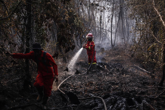 Forest and Peatland Fire in Ogan Ilir, South Sumatra Manggala Agni firefighters work to extinguish a forest and peatland fire in Kebun Raya Sriwijaya, North Inderalaya, Ogan Ilir, South Sumatra, Indonesia, on September 5, 2026. South Sumatra Indonesia Copyright: xSigitxPrasetyax originalFilename: prasetya-notitle260905_npmCJ