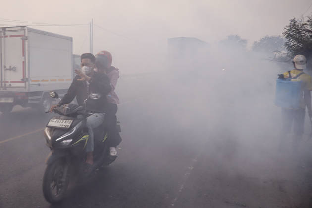 Forest and Peatland Fire in Ogan Ilir, South Sumatra A resident rides a motorcycle through the haze along the Palembang - Inderalaya Highway in South Sumatra, Indonesia, on September 5, 2026. South Sumatra Indonesia Copyright: xSigitxPrasetyax originalFilename: prasetya-notitle260905_npxd7