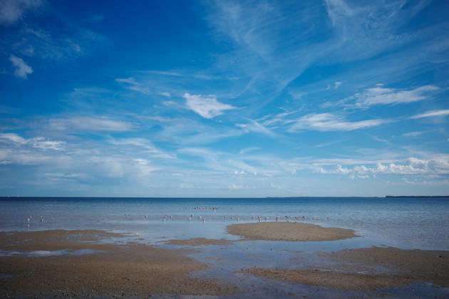Sandflächen im flachen Wasser vor dem weiten Horizont der Ostsee am 7. September 2026.