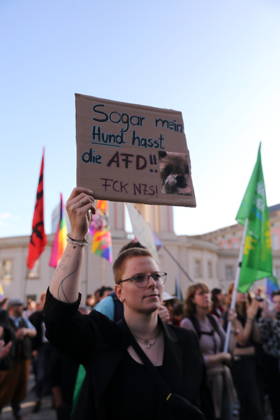 Eine Demonstrantin mit Schild Sogar mein Hund hasst die AfD! FCK NZS! während einer Kundgebung gegen die Partei Alternative für Deutschland AfD nach deren Wahlsieg bei der Landtagswahl in Sachsen-Anhalt, Alter Markt, Potsdam, 7. September 2026. Kundgebung gegen AfD in Potsdam