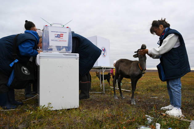 Russia Parliamentary Election Early Voting 9239423 09.09.2026 A member of the local commission pets a deer during the early voting in remote areas ahead of State Duma elections, in Yamalo-Nenets Autonomous Area, Russia. Russians will vote in State Duma, the lower house of parliament, and municipal elections over three days, from September 18-20. Alexandr Kryazhev Sputnik Yamalo-Nenets Autonomous Area Russia  Copyright: xAlexandrxKryazhevx