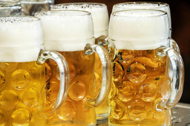 Frisch gezapfte Maß Bier, Augustiner Bräu, Aubinger Herbstfest, Festzelt, München, 5. September 2026 Deutschland, München, September 2026, mehrere frisch gezapfte Maß Bier, Augustiner Bräu, Festzelt, Aubinger Herbstfest, Bayern