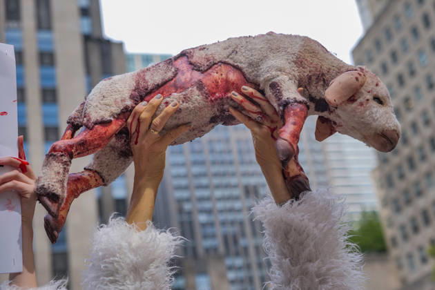 September 10, 2026, New York, New York, USA: PETA protests NYFW at Rockefeller Center with a grisly display dressed.as bruised and bloody sheep outside the venue with lifelike dead lambs.and the message Wool Kills . The graphic protest over wool farms cruelty claims .inhumane wool shearing and terrified sheep. New York USA  - ZUMAh156 20260910_znp_h156_004 Copyright: xMiloxHessx