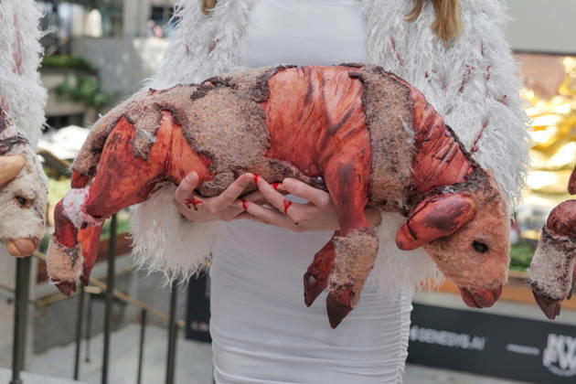 September 10, 2026, New York, New York, USA: PETA protests NYFW at Rockefeller Center with a grisly display dressed.as bruised and bloody sheep outside the venue with lifelike dead lambs.and the message Wool Kills . The graphic protest over wool farms cruelty claims .inhumane wool shearing and terrified sheep. New York USA  - ZUMAh156 20260910_znp_h156_005 Copyright: xMiloxHessx