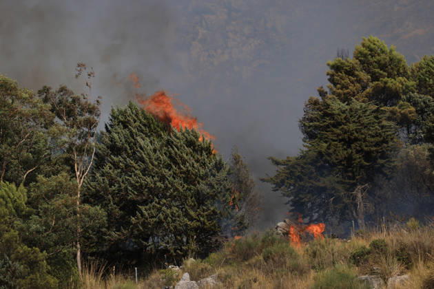 Wildfire near Palermo threatens homes in Giardinello, Sicily PALERMO, ITALY - SEPTEMBER 10: Flames and thick smoke rise from a forested area during a wildfire near Giardinello, close to Palermo on the island of Sicily, on September 10, 2026 in Palermo, Italy. The blaze began in the Carcatizzi area around midday a day earlier and spread rapidly, threatening nearby residential areas and damaging several homes. Firefighters battled the fire from the ground with fire engines and from the air with a firefighting aircraft and two helicopters. Alberto Lo Bianco Anadolu Sicily Italy. Editorial use only. Please get in touch for any other usage.  Copyright: x2026xAnadoluxAlbertoxLoxBiancox