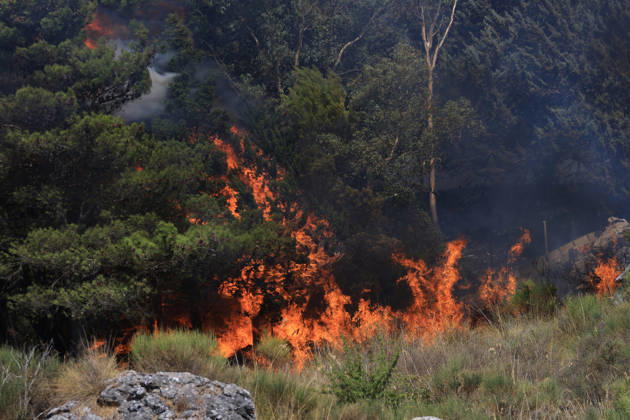 Wildfire near Palermo threatens homes in Giardinello, Sicily PALERMO, ITALY - SEPTEMBER 10: Flames and thick smoke rise from a forested area during a wildfire near Giardinello, close to Palermo on the island of Sicily, on September 10, 2026 in Palermo, Italy. The blaze began in the Carcatizzi area around midday a day earlier and spread rapidly, threatening nearby residential areas and damaging several homes. Firefighters battled the fire from the ground with fire engines and from the air with a firefighting aircraft and two helicopters. Alberto Lo Bianco Anadolu Sicily Italy. Editorial use only. Please get in touch for any other usage.  Copyright: x2026xAnadoluxAlbertoxLoxBiancox