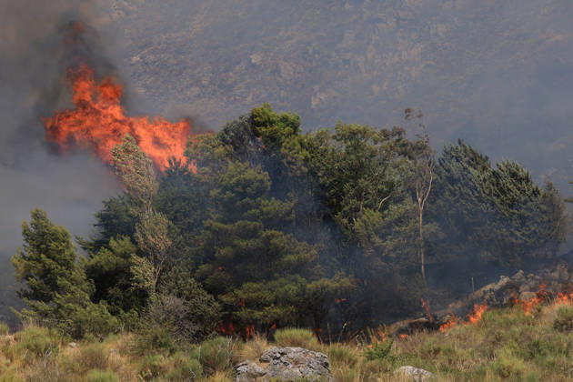 Wildfire near Palermo threatens homes in Giardinello, Sicily PALERMO, ITALY - SEPTEMBER 10: Flames and thick smoke rise from a forested area during a wildfire near Giardinello, close to Palermo on the island of Sicily, on September 10, 2026 in Palermo, Italy. The blaze began in the Carcatizzi area around midday a day earlier and spread rapidly, threatening nearby residential areas and damaging several homes. Firefighters battled the fire from the ground with fire engines and from the air with a firefighting aircraft and two helicopters. Alberto Lo Bianco Anadolu Sicily Italy. Editorial use only. Please get in touch for any other usage.  Copyright: x2026xAnadoluxAlbertoxLoxBiancox