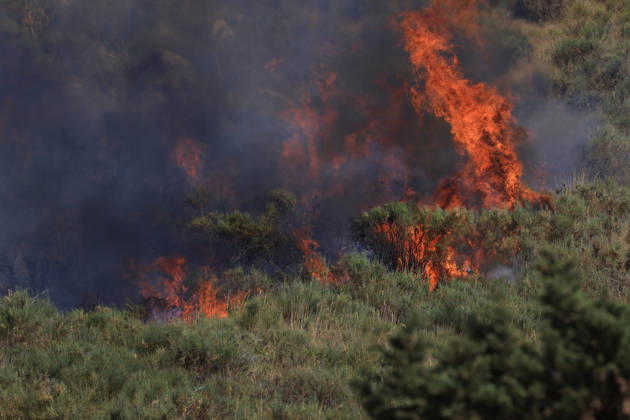Wildfire near Palermo threatens homes in Giardinello, Sicily PALERMO, ITALY - SEPTEMBER 10: Flames and thick smoke rise from a forested area during a wildfire near Giardinello, close to Palermo on the island of Sicily, on September 10, 2026 in Palermo, Italy. The blaze began in the Carcatizzi area around midday a day earlier and spread rapidly, threatening nearby residential areas and damaging several homes. Firefighters battled the fire from the ground with fire engines and from the air with a firefighting aircraft and two helicopters. Alberto Lo Bianco Anadolu Sicily Italy. Editorial use only. Please get in touch for any other usage.  Copyright: x2026xAnadoluxAlbertoxLoxBiancox