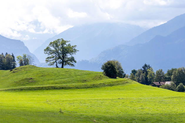 Freundliches Septemberwetter Die Sonne scheint auf die Landschaft bei Schöllang., Oberstdorf Bayern Deutschland