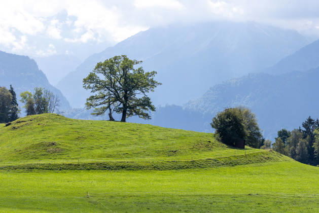 Freundliches Septemberwetter Die Sonne scheint auf die Landschaft bei Schöllang., Oberstdorf Bayern Deutschland