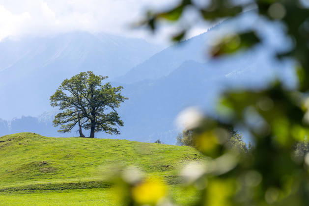 Freundliches Septemberwetter Die Sonne scheint auf die Landschaft bei Schöllang., Oberstdorf Bayern Deutschland