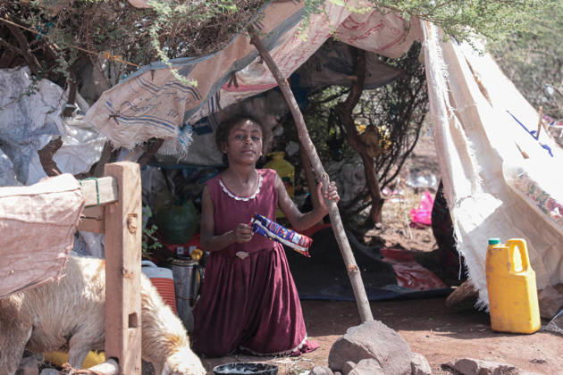 Clashes in Yemen displace 823 families in Taiz in single day TAIZ, YEMEN - SEPTEMBER 10: A girl sits in a makeshift tent as displaced Yemeni civilians live at temporary shelters in the Bani Omar area of southern Taiz, Yemen, on September 10, 2026, after fleeing escalating armed clashes between government forces and Iran-backed Houthi rebels in the Al-Wazi iyah district. Intensified fighting and civilian casualties have forced hundreds of families from their homes, leaving displaced populations in urgent need of emergency shelter, food supplies, clean drinking water, and vital sanitation services. Marwan Abdullah Yahya Saeed Al-shabi Anadolu Taiz Yemen. Editorial use only. Please get in touch for any other usage.  Copyright: x2026xAnadoluxMarwanxAbdullahxYahyaxSaeedxAl-shabix