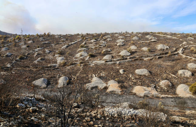 Croatia Island Wildfire Areas damaged by a wildfire are seen near city Milna at Island Brac, Croatia on September 12, 2026.  IvoxCagalj PIXSELL