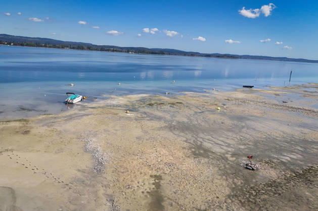 Wetterfeature, Bei sonnigem Spätsommerwetter am Bodensee liegen einige Boote aufgrund des niedrigen Wasserstands auf dem Trockenen. Gleichzeitig zeigt sich der Bodensee von seiner malerischen Seite das Wasser schimmert bei strahlendem Sonnenschein grünlich-blau, während sich die Uferlandschaft unter nahezu wolkenlosem Himmel präsentiert. (Aufnahme mit einer Drohne) Moos Baden-Württemberg Deutschland Moos