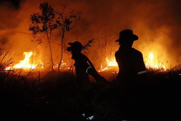 Forest And Peatland Fire In Ogan Ilir, South Sumatra A firefighter from the Ogan Ilir Regional Disaster Management Agency (BPBD) works to extinguish a forest and land fire along the Palembang-Inderalaya highway in Sungai Rambutan, Ogan Ilir Regency, South Sumatra, on September 11, 2026. Ogan Ilir, South Sumatra Indonesia Copyright: xSigitxPrasetyax originalFilename: prasetya-notitle260911_np3ke