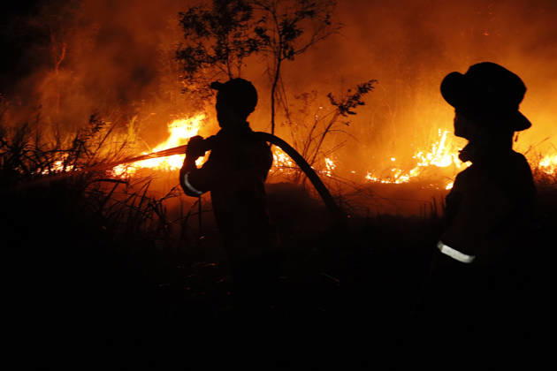 Forest And Peatland Fire In Ogan Ilir, South Sumatra A firefighter from the Ogan Ilir Regional Disaster Management Agency (BPBD) works to extinguish a forest and land fire along the Palembang-Inderalaya highway in Sungai Rambutan, Ogan Ilir Regency, South Sumatra, on September 11, 2026. Ogan Ilir, South Sumatra Indonesia Copyright: xSigitxPrasetyax originalFilename: prasetya-notitle260911_npHta