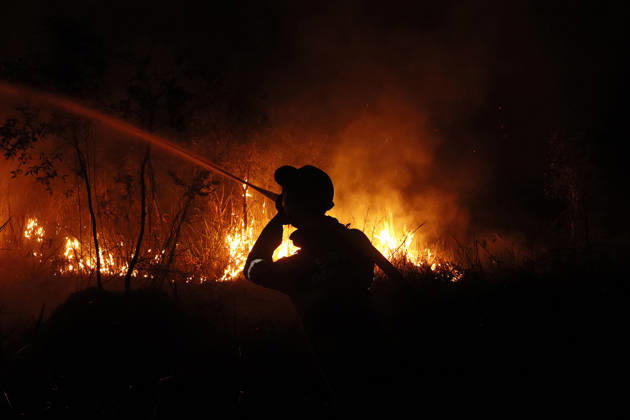 Forest And Peatland Fire In Ogan Ilir, South Sumatra A firefighter from the Ogan Ilir Regional Disaster Management Agency (BPBD) works to extinguish a forest and land fire along the Palembang-Inderalaya highway in Sungai Rambutan, Ogan Ilir Regency, South Sumatra, on September 11, 2026. Ogan Ilir, South Sumatra Indonesia Copyright: xSigitxPrasetyax originalFilename: prasetya-notitle260911_npplJ