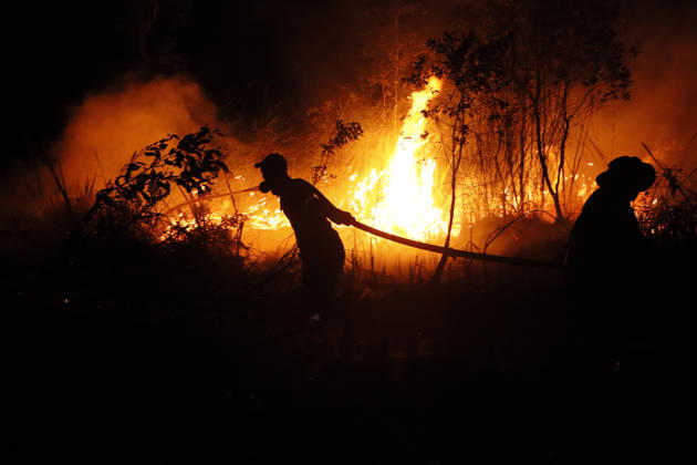 Forest And Peatland Fire In Ogan Ilir, South Sumatra A firefighter from the Ogan Ilir Regional Disaster Management Agency (BPBD) works to extinguish a forest and land fire along the Palembang-Inderalaya highway in Sungai Rambutan, Ogan Ilir Regency, South Sumatra, on September 11, 2026. Ogan Ilir, South Sumatra Indonesia Copyright: xSigitxPrasetyax originalFilename: prasetya-notitle260911_nppyN