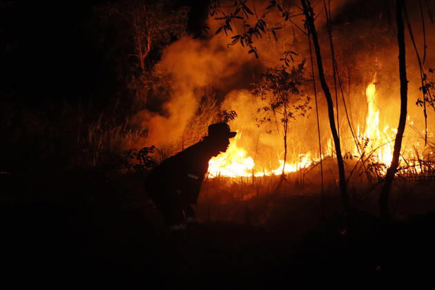 Forest And Peatland Fire In Ogan Ilir, South Sumatra A firefighter from the Ogan Ilir Regional Disaster Management Agency (BPBD) works to extinguish a forest and land fire along the Palembang-Inderalaya highway in Sungai Rambutan, Ogan Ilir Regency, South Sumatra, on September 11, 2026. Ogan Ilir, South Sumatra Indonesia Copyright: xSigitxPrasetyax originalFilename: prasetya-notitle260911_npRA8