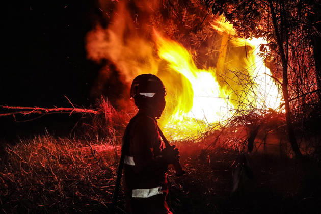Forest And Peatland Fire In Ogan Ilir, South Sumatra A firefighter from the Ogan Ilir Regional Disaster Management Agency (BPBD) works to extinguish a forest and land fire along the Palembang-Inderalaya highway in Sungai Rambutan, Ogan Ilir Regency, South Sumatra, on September 11, 2026. Ogan Ilir, South Sumatra Indonesia Copyright: xSigitxPrasetyax originalFilename: prasetya-notitle260911_npYDw