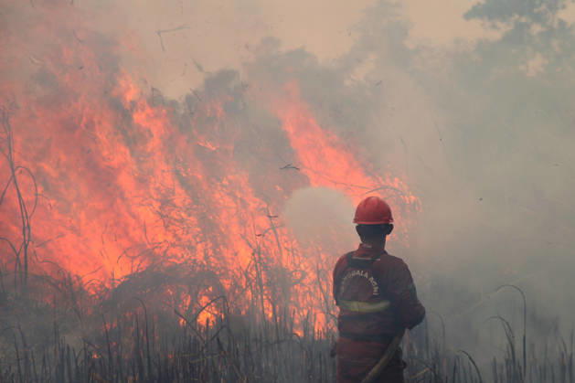 Wildfire In Sumatera, Indonesia An Indonesian Manggala Agni firefighter works to extinguish wildfires in Sungai Rambutan, Ogan Ilir Regency, South Sumatra, Indonesia, on September 12, 2026. El Nino conditions are contributing to wildfires across Indonesia, which have caused respiratory illnesses in approximately 113,336 people, according to the country s health officials. High-intensity wildfires on the islands of Borneo and Sumatra are worsening air quality and affecting neighboring countries in Southeast Asia, including Malaysia, Singapore and the Philippines. Ogan ilir Indonesia Copyright: xMuhammadxFajrix originalFilename: fajri-notitle260912_npb7u.jpg