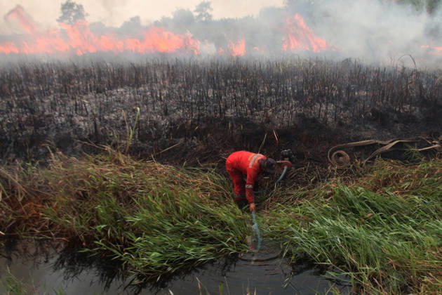 Firefighters battle forest fires in Indonesia s South Sumatra OGAN ILIR, INDONESIA - SEPTEMBER 12 : Indonesian firefighter from Manggala Agni prepare to extinguish wildfires at Sungai Rambutan Regency in Ogan Ilir, South Sumatera, Indonesia on September 12, 2026. El Nino conditions are helping to fuel wildfires across Indonesia, leaving some 113,336 people respiratory illnesses according to the country’s health officials. High-intensity wildfires on Indonesia’s Borneo and Sumatra islands are worsening air quality and affecting neighbouring countries in South East Asia, including Malaysia, Singapore and the Philippines. Muhammad Fajri Anadolu Ogan ilir Indonesia. Editorial use only. Please get in touch for any other usage.  Copyright: x2026xAnadoluxMuhammadxFajrix