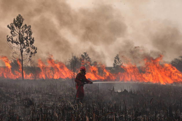 Firefighters battle forest fires in Indonesia s South Sumatra OGAN ILIR, INDONESIA - SEPTEMBER 12 : Indonesian firefighter from Manggala Agni tried to extinguish wildfires at Sungai Rambutan Regency in Ogan Ilir, South Sumatera, Indonesia on September 12, 2026. El Nino conditions are helping to fuel wildfires across Indonesia, leaving some 113,336 people respiratory illnesses according to the country’s health officials. High-intensity wildfires on Indonesia’s Borneo and Sumatra islands are worsening air quality and affecting neighbouring countries in South East Asia, including Malaysia, Singapore and the Philippines. Muhammad Fajri Anadolu Ogan ilir Indonesia. Editorial use only. Please get in touch for any other usage.  Copyright: x2026xAnadoluxMuhammadxFajrix