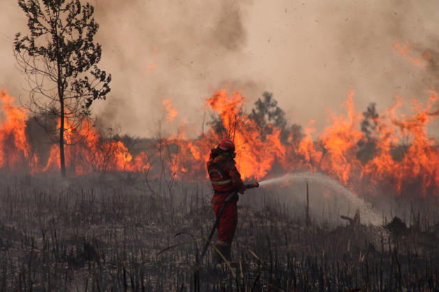 Firefighters battle forest fires in Indonesia s South Sumatra OGAN ILIR, INDONESIA - SEPTEMBER 12 : Indonesian firefighter from Manggala Agni tried to extinguish wildfires at Sungai Rambutan Regency in Ogan Ilir, South Sumatera, Indonesia on September 12, 2026. El Nino conditions are helping to fuel wildfires across Indonesia, leaving some 113,336 people respiratory illnesses according to the country’s health officials. High-intensity wildfires on Indonesia’s Borneo and Sumatra islands are worsening air quality and affecting neighbouring countries in South East Asia, including Malaysia, Singapore and the Philippines. Muhammad Fajri Anadolu Ogan ilir Indonesia. Editorial use only. Please get in touch for any other usage.  Copyright: x2026xAnadoluxMuhammadxFajrix