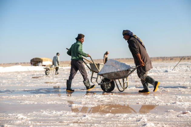 Workers in Syria-Iraq border s Deir ez-Zor Desert make a living from salt DEIR EZ-ZOR, SYRIA - SEPTEMBER 10: Workers laboring in the Deir ez-Zor Desert on the Syria-Iraq border try to support their families with the salt they extract from deep in the ground, enduring scorching heat and thick dust in Deir ez-Zor, Syria on September 10, 2026. After putting the salt they dig out of the earth through various processes, workers gather it with wheelbarrows and load it onto trucks. Despite all these harsh conditions, salt production continues to be one of the most vital sources of livelihood for the local population. Abdulrhman El Ali Anadolu Deir ez-Zor Syria. Editorial use only. Please get in touch for any other usage.  Copyright: x2026xAnadoluxAbdulrhmanxElxAlix