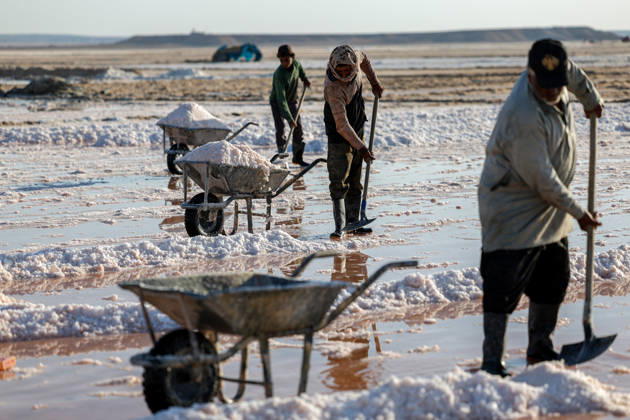 Workers in Syria-Iraq border s Deir ez-Zor Desert make a living from salt DEIR EZ-ZOR, SYRIA - SEPTEMBER 10: Workers laboring in the Deir ez-Zor Desert on the Syria-Iraq border try to support their families with the salt they extract from deep in the ground, enduring scorching heat and thick dust in Deir ez-Zor, Syria on September 10, 2026. After putting the salt they dig out of the earth through various processes, workers gather it with wheelbarrows and load it onto trucks. Despite all these harsh conditions, salt production continues to be one of the most vital sources of livelihood for the local population. Abdulrhman El Ali Anadolu Deir ez-Zor Syria. Editorial use only. Please get in touch for any other usage.  Copyright: x2026xAnadoluxAbdulrhmanxElxAlix