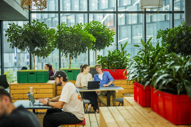 Fotostory Pressetermin bei Zalando: ZALANDO Outlet Store, Headquarter und Workspaces in Berlin aufgenommen am 16.09.2026....Berlin, 16.09.2026. Berlin Deutschland NUR FÜR REDAKTIONELLE ZWECKE - EDITORIAL USE ONLY - BILDNUTZUNG NUR IM ZALANDO-KONTEXT Copyright: xDominikxButzmannx