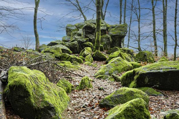 Naturdenkmal in der Röhn bestehend aus Basaltsteinen die zum Teil kräftig mit Moos bewachsen sind Natural monument in the Röhn consisting of basalt stones that are partly heavily overgrown with moss Copyright: imageBROKER áõ ibxiqx19022021.jpg