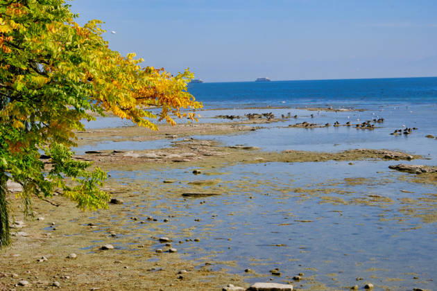 Bodensee, Herbststimmung mit Niedrigwasser bei der Insel Mainau