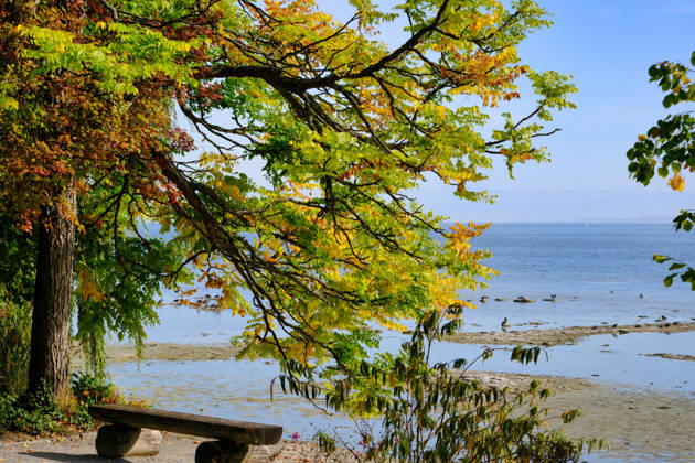 Bodensee, Herbststimmung mit Niedrigwasser bei der Insel Mainau