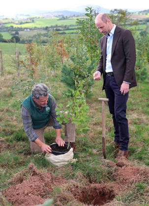 The Prince Of Wales Visits Monmouthshire And Herefordshire ABERGAVENNY, WALES - OCTOBER 01: Prince William, Prince Of Wales (R) joins volunteers participating in a seed collection activity and hears about the progress towards the goal of planting one million trees during his visit to meet representatives from charity Stump Up For Trees, a charity which aims to plant 1 million native trees across South Wales, at White Castle Farm on October 01, 2026 in Abergavenny, Wales. The Prince of Wales visited the region to meet with those tackling the threat of flooding caused by extreme weather conditions., Credit:Chris Jackson PA ROTA - B68 Avalon United Kingdom, Wales, Abergavenny  Copyright: xChrisxJacksonx xPAxROTAx-xB68x xAvalonx 1139788290