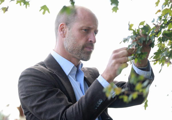 The Prince Of Wales Visits Monmouthshire And Herefordshire ABERGAVENNY, WALES - OCTOBER 01: Prince William, Prince Of Wales participates in a seed collection activity and hears about the progress towards the goal of planting one million trees during his visit to charity Stump Up For Trees, which aims to plant native trees across South Wales, at White Castle Farm on October 01, 2026 in Abergavenny, Wales. The Prince of Wales visited the region to meet with those tackling the threat of flooding caused by extreme weather conditions., Credit:Chris Jackson PA ROTA - B68 Avalon United Kingdom, Wales, Abergavenny  Copyright: xChrisxJacksonx xPAxROTAx-xB68x xAvalonx 1139798766