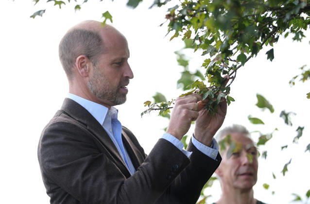 The Prince Of Wales Visits Monmouthshire And Herefordshire ABERGAVENNY, WALES - OCTOBER 01: Prince William, Prince Of Wales participates in a seed collection activity and hears about the progress towards the goal of planting one million trees during his visit to charity Stump Up For Trees, which aims to plant native trees across South Wales, at White Castle Farm on October 01, 2026 in Abergavenny, Wales. The Prince of Wales visited the region to meet with those tackling the threat of flooding caused by extreme weather conditions., Credit:Chris Jackson PA ROTA - B68 Avalon United Kingdom, Wales, Abergavenny  Copyright: xChrisxJacksonx xPAxROTAx-xB68x xAvalonx 1139800060