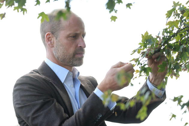 The Prince Of Wales Visits Monmouthshire And Herefordshire ABERGAVENNY, WALES - OCTOBER 01: Prince William, Prince Of Wales participates in a seed collection activity and hears about the progress towards the goal of planting one million trees during his visit to charity Stump Up For Trees, which aims to plant native trees across South Wales, at White Castle Farm on October 01, 2026 in Abergavenny, Wales. The Prince of Wales visited the region to meet with those tackling the threat of flooding caused by extreme weather conditions., Credit:Chris Jackson PA ROTA - B68 Avalon United Kingdom, Wales, Abergavenny  Copyright: xChrisxJacksonx xPAxROTAx-xB68x xAvalonx 1139800069