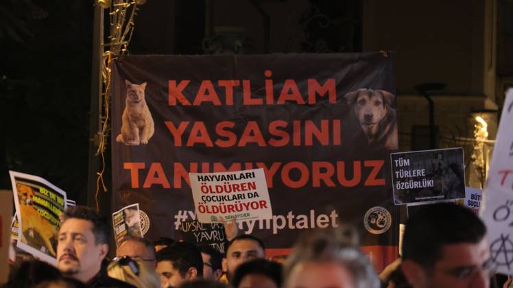 October 4, 2026, Izmir, To¼rkiye: IZMIR, TURKEY †OCTOBER 4, 2026: Animal rights activists staged a protest in Izmir on World Animal Protection Day, opposing the decision to round up and euthanize stray animals. Members of the Izmir Right to Life Advocates gathered in front of Alsancak Train Station in the Konak district and protested against the Law Amending the Animal Protection Act, which was passed by the Grand National Assembly of Turkey on July 30, 2024, published in the Official Gazette on August 2, 2024, and entered into force. Activists marched from Alsancak Station along Cyprus Martyrs Street before gathering in front of the To¼rkan Saylan Cultural Center. Chanting slogans including â€oeNo to your laws, let the anima - ZUMAq101 20261004_zna_q101_109 Copyright: xTurgayxKilicx