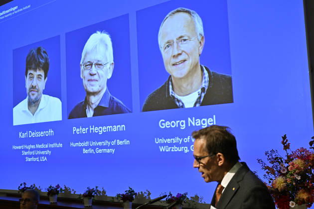 STOCKHOLM, SWEDEN, October 5, 2026 Karl Deisseroth, Peter Hegemann, and Georg Nagel have been awarded the 2026 Nobel Prize in Physiology or Medicine. The announcement was made at a press conference at the Nobel Forum at Karolinska Institutet in Stockholm. STOCKHOLM, SWEDEN x10050x  Copyright: xPontusxLundahl TTx NOBEL 2026 2GTjxdDn_5A