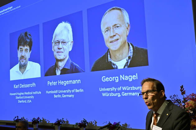 STOCKHOLM, SWEDEN, October 5, 2026 Karl Deisseroth, Peter Hegemann, and Georg Nagel have been awarded the 2026 Nobel Prize in Physiology or Medicine. The announcement was made at a press conference at the Nobel Forum at Karolinska Institutet in Stockholm. STOCKHOLM, SWEDEN x10050x  Copyright: xPontusxLundahl TTx NOBEL 2026 a43j62sMpLI