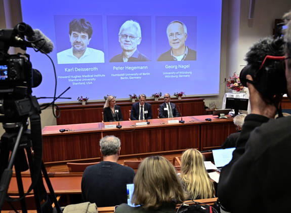 Karl Deisseroth, Peter Hegemann, and Georg Nagel have been awarded the 2026 Nobel Prize in Physiology or Medicine, as announced during a press conference at the Nobel Forum at Karolinska Institutet in Stockholm, Sweden, on October 5, 2026 STOCKHOLM SWEDEN x10050x  Copyright: xPontusxLundahl TTx SWEDEN NOBEL PRIZE 2026 PHYSIOLOGY OR MEDICINE kBeWR6AWkb8