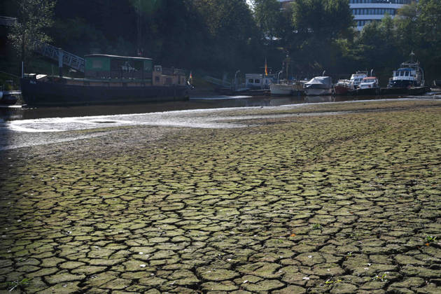 Das Niedrigwasser im Duesseldorfer Hafen hat eine grosse Sandbank freigelegt, Steine und Sand am Ufer, Hafenbecken A, Motorboote und Yachten liegen auf dem Grund, Duesseldorf am 05.10.2026,