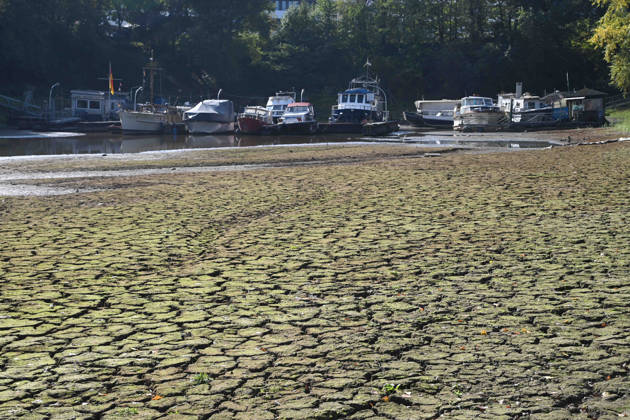 Das Niedrigwasser im Duesseldorfer Hafen hat eine grosse Sandbank freigelegt, Steine und Sand am Ufer, Hafenbecken A, Motorboote und Yachten liegen auf dem Grund, Duesseldorf am 05.10.2026,