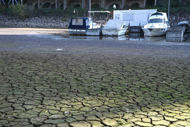 Das Niedrigwasser im Duesseldorfer Hafen hat eine grosse Sandbank freigelegt, Steine und Sand am Ufer, Hafenbecken A, Motorboote und Yachten liegen auf dem Grund, Duesseldorf am 05.10.2026,