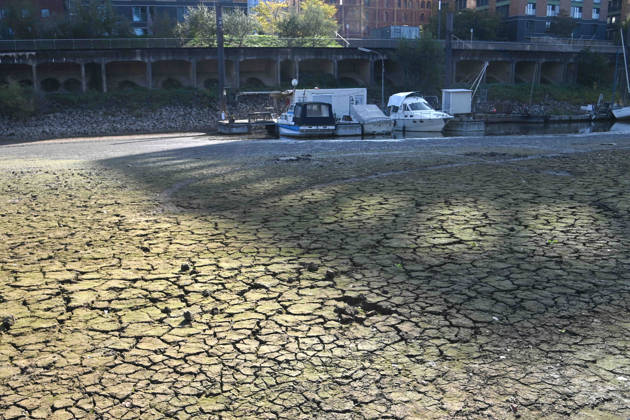 Das Niedrigwasser im Duesseldorfer Hafen hat eine grosse Sandbank freigelegt, Steine und Sand am Ufer, Hafenbecken A, Motorboote und Yachten liegen auf dem Grund, Duesseldorf am 05.10.2026,