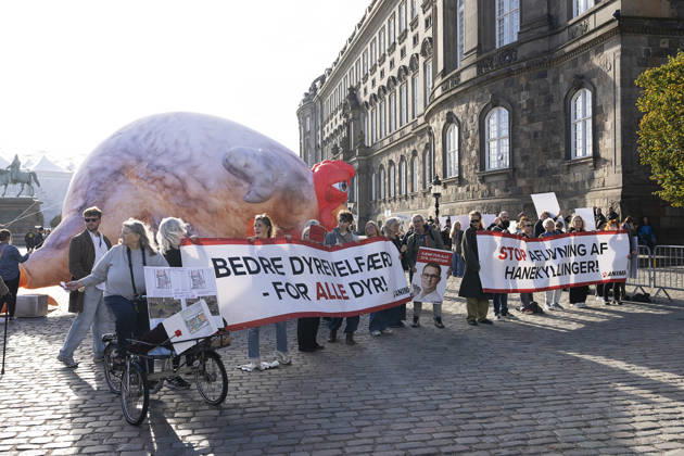 Opening of the Folketing: Demonstration in front of Christiansborg Demonstration at the opening of the Folketing at Christiansborg Palace in Copenhagen, Tuesday, October 6, 2026. (Photo: Claus Bech Ritzau Scanpix) , Copenhagen Denmark