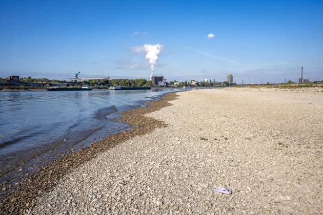 Extremes Niedrigwasser am Rhein, hier bei Duisburg-Neuenkamp, trocken gefallenes Ufer, Pegel zur Zeit der Aufnahme bei 131cm in DU-Ruhrort, über 20cm unter der bisherigen je gemessnen Tiefstmarke von 2018, starke Einschränkungen für die Binnenschifffahrt, NRW, Deutschland Rhein Niedrigwasser