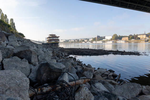 Niedrigwasser am Rhein in Bonn-Beuel Bonn-Beuel, 7. Oktober 2026: Der Rhein führt deutliches Niedrigwasser. Am Ufer in Bonn-Beuel sind weite Bereiche des freiliegenden Rheinufers und der flachen Uferzonen sichtbar. Der niedrige Wasserstand verändert das gewohnte Erscheinungsbild des Rheins und lässt die Auswirkungen der anhaltenden Trockenheit deutlich erkennen. Bonn Beuel Nordrhein-Westfalen Deutschland